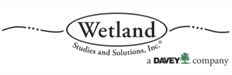Wetland